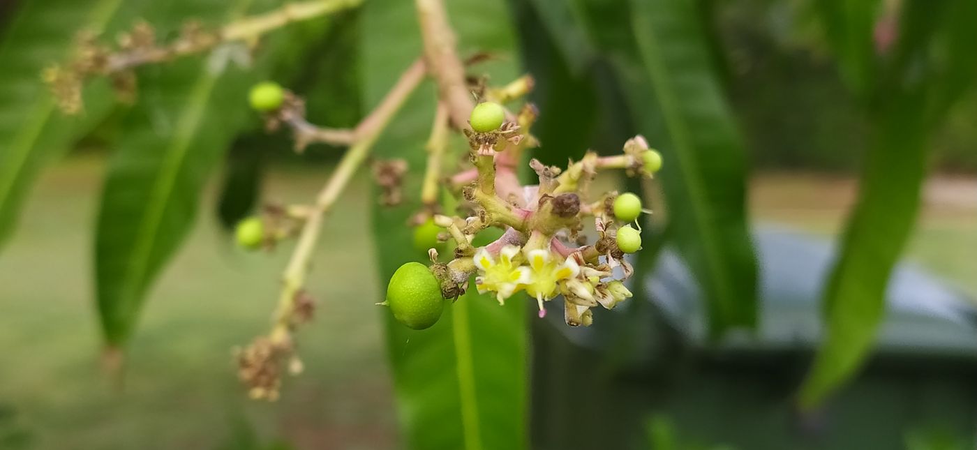 麻花影视_麻花影视_电视剧全集连播：《国乐无双》引爆音综赛道，六公主又双叒叕“傲娇”了一回（封面配图）